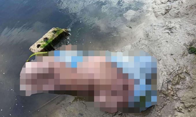 На Днепропетровщине тело женщины утопили, привязав к ногам шлакоблок