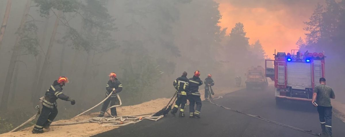 Лісова пожежа на Луганщині: 5 загинули, 9 в лікарні