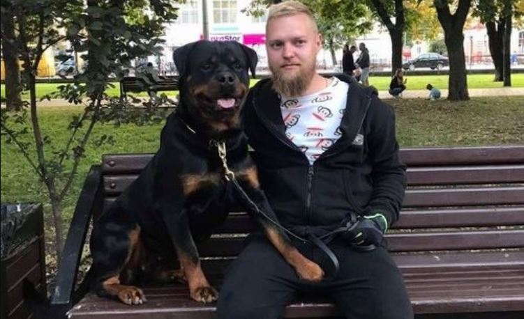 В Чернигове ветеринар требовал взятку за документы на животных