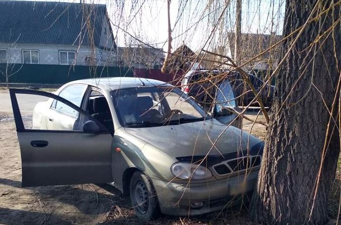 У Хмельницькій області п'яна жінка викрала «Ланос» і розбила його об дерево
